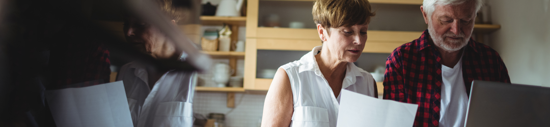 senior couple looking at computer at home